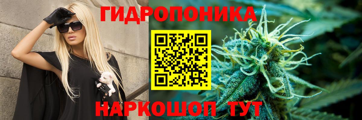 Дятьково  Каннабис Amnesia  Канабис ГИДРОПОН  Конопля ГИДРОПОН  Вход с VPN 